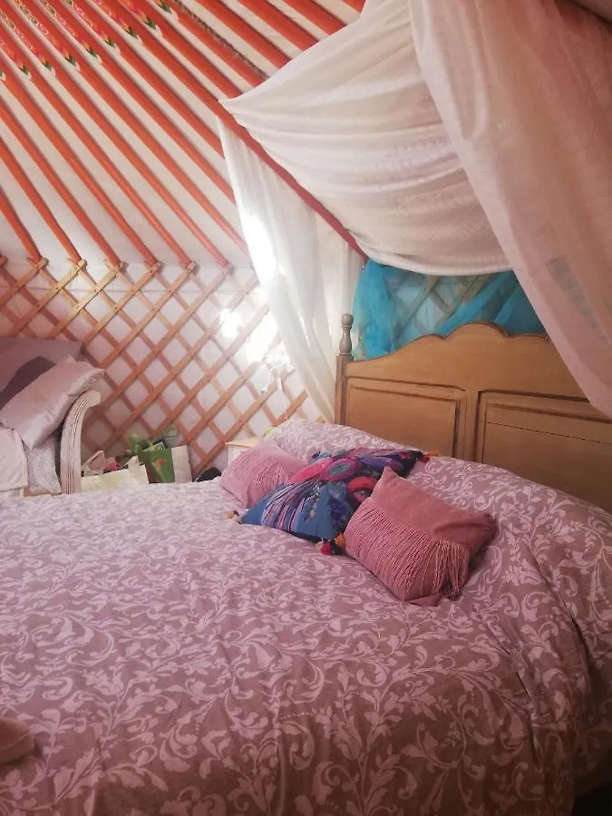 Yurta De Arico Hotel Arico Viejo Luxury tent