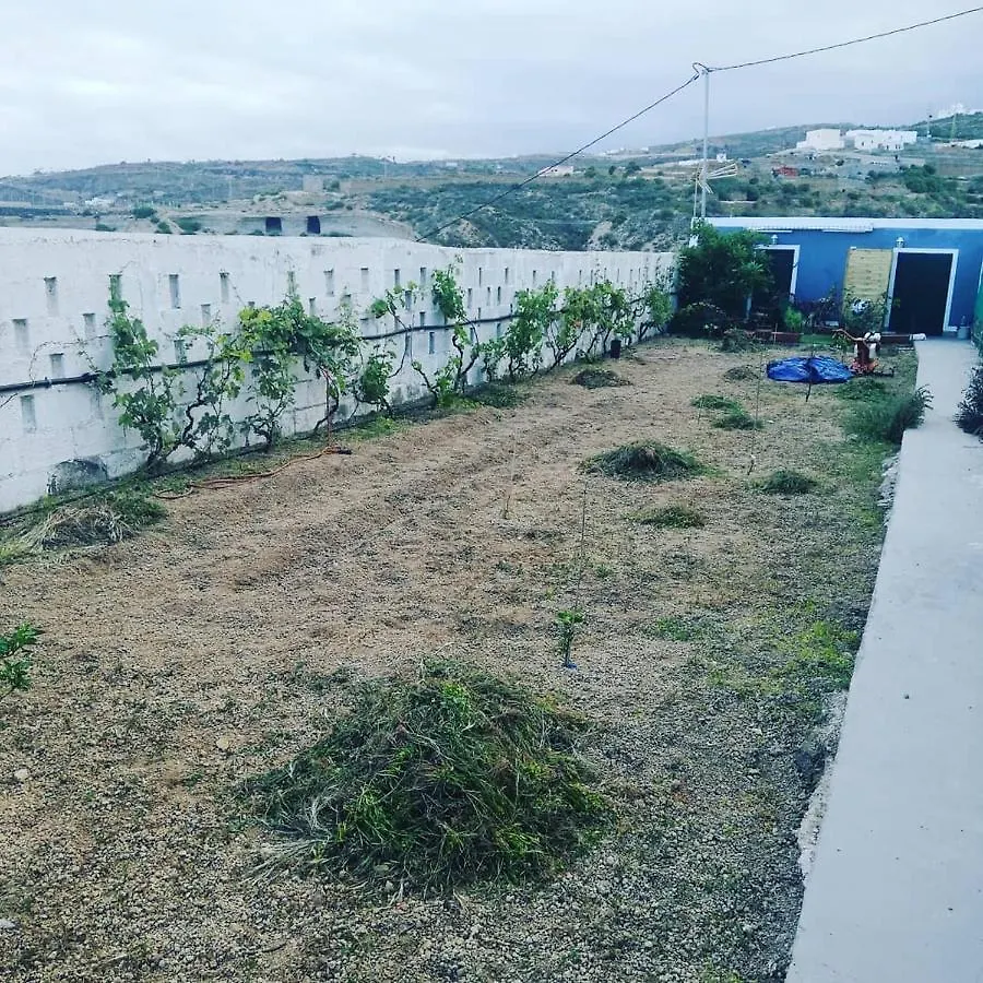 Luxury tent Yurta De Arico Hotel Arico Viejo Spain